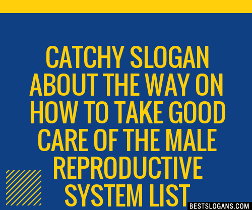 100 Catchy About The Way On How To Take Good Care Of The Male Reproductive System Slogans 2024 9108