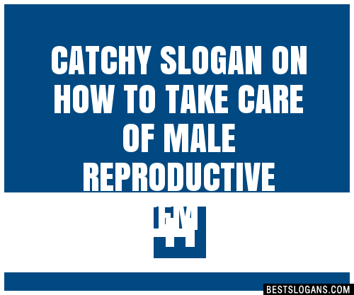 Catchy On How To Take Care Of Male Reproductive System Slogans