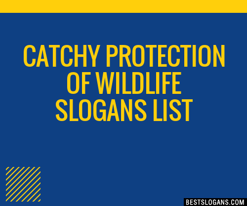 100-catchy-protection-of-wildlife-slogans-2024-generator-phrases