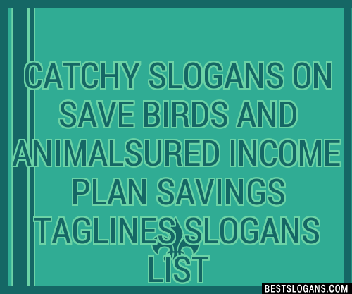 100 Catchy For Save Birds Slogans 2024 Generator Phrases And Taglines Porn Sex Picture 