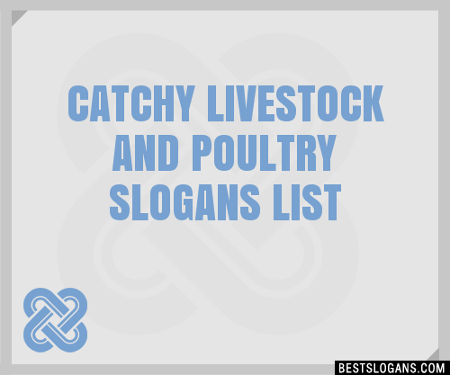 100-catchy-livestock-and-poultry-slogans-2024-generator-phrases