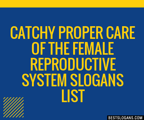 100 Catchy Proper Care Of The Female Reproductive System Slogans 2024 Generator Phrases 0343