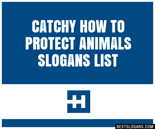 100-catchy-how-to-protect-animals-slogans-2024-generator-phrases