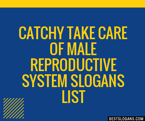 100+ Catchy Take Care Of Male Reproductive System Slogans 2024 ...