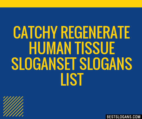 100+ Catchy Regenerate Human Tissue ,et Slogans 2024 + Generator ...