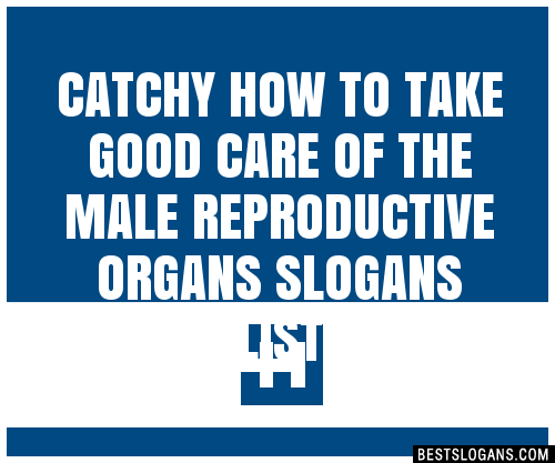 100+ Catchy How To Take Good Care Of The Male Reproductive Organs ...