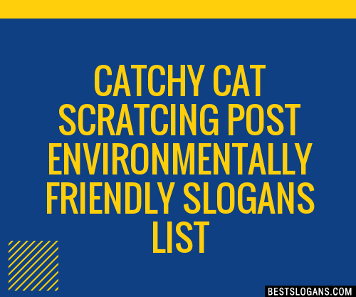 100+ Catchy Cat Scratcing Post Environmentally Friendly Slogans 2024 ...